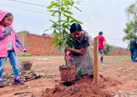 Ação Cidadania ECOmunitária planta árvores e semeia a ideia de que o futuro é ancestral