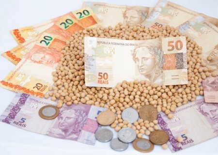Produtores de soja seguem focados no plantio, mas preços preocupam; confira