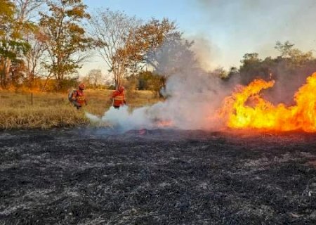 Estado irá testar produtos que serão usados no combate aos incêndios florestais