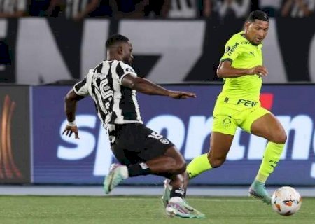 Palmeiras x Botafogo tem duelo decisivo nesta noite