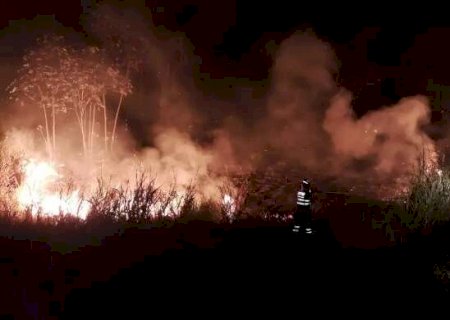 Em MS, volume de carbono emitido por inc&ecirc;ndios florestais &eacute; o maior em 20 anos