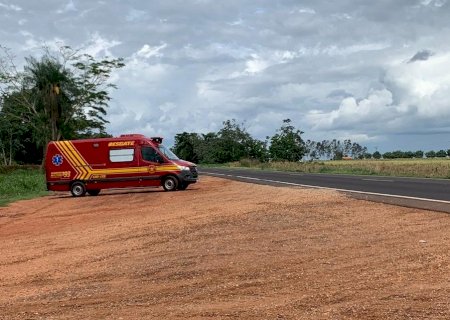 Homem morre após ser atacado por abelhas durante perseguição policial em Nova Andradina