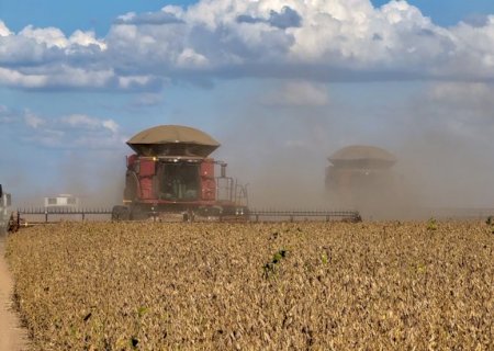 Valor bruto da produção agropecuária deve crescer e chegar a R$ 1,419 tri