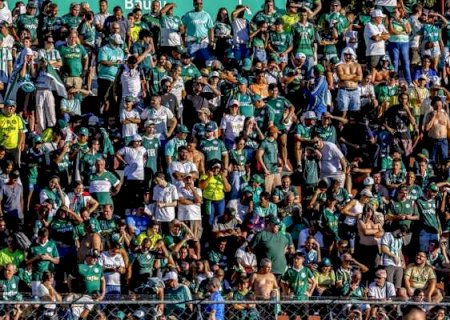 Recorde de R$ 80 milhões: por que Palmeiras aumentou valores dos planos de sócio-torcedor