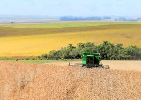 Preço da soja cai em Chicago após colheita no Brasil ganhar ritmo
