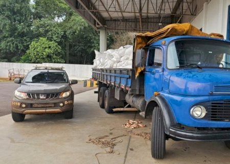 Caminhão que seguia para São Paulo com quase uma tonelada de defensivo agrícola ilegal é apreendido pelo DOF