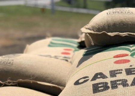 Café: Exportadores têm prejuízo de R$ 6,1 mi em janeiro por logística