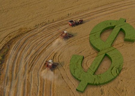 Governo retoma financiamento rural com crédito subsidiado no Plano Safra