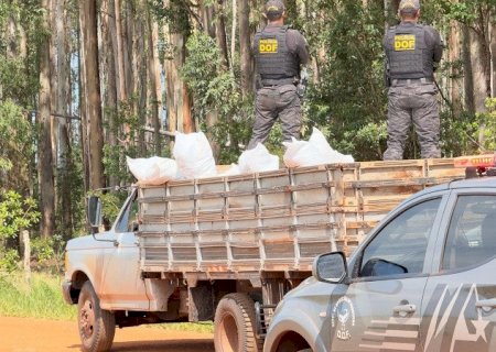 Polícia apreende mais de 3 toneladas de defensivos agrícolas ilegal