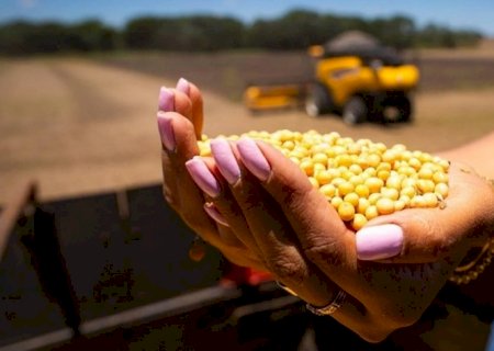 Preços pagos ao produtor rural aumentaram apenas 0,3% em 2024 | Brasilagro