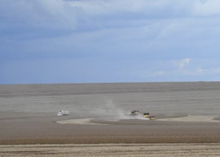 MS deverá produzir 14,6 milhões de toneladas de soja, volume 11,4% superior ao da safra passada