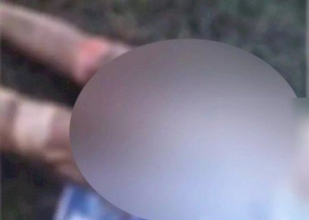 Mulher é queimada viva por homem em fazenda no Pantanal