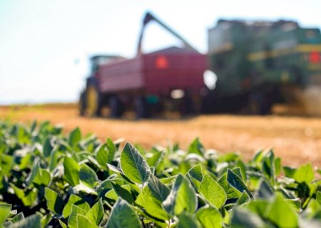 'Bad Beat': Trump ignora agribusiness e joga errado
