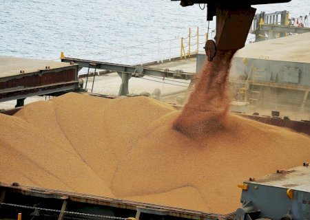 Exportação de soja em junho cai 3,9% em volume e 12,5% em receita