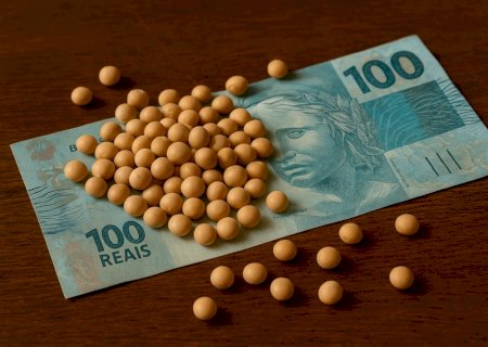 China prioriza soja brasileira e preços apresentam estabilidade; confira o fechamento de mercado