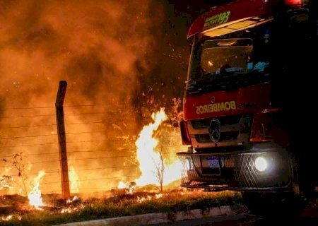 Incêndios em MS aumentam e agosto atinge média de 16 focos diários