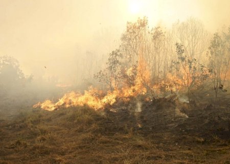 Setembro exige atenção redobrada contra incêndios no campo