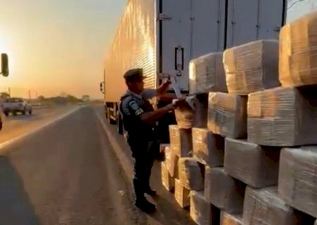 Polícia apreende mais de 1,1 tonelada de maconha escondida em carga de frangos congelados
