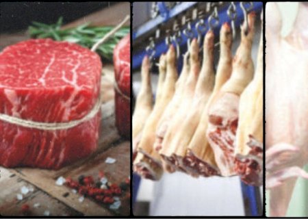 Produção de carnes bate novo recorde histórico em 2026