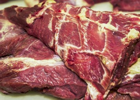 Brasil bate recorde e exporta 2,08 mi toneladas de carne bovina