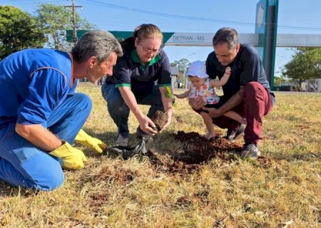 Plantio de ipês celebra 40 anos do Detran de MS e eterniza histórias de gerações