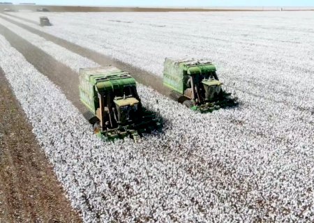 Agro cresce 10% em um ano e mantém papel central na economia brasileira