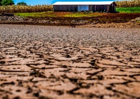 FAO expõe impactos das mudanças climáticas na agricultura e na alimentação