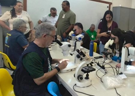 Coleta de vetores, testagem e alinhamento técnico: Saúde de MS antecipa combate à Febre Oropouche
