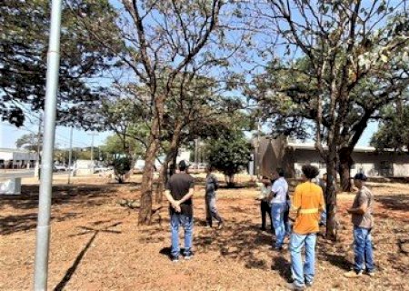 Capacitação em poda urbana reforça segurança e preservação das árvores em Nova Andradina
