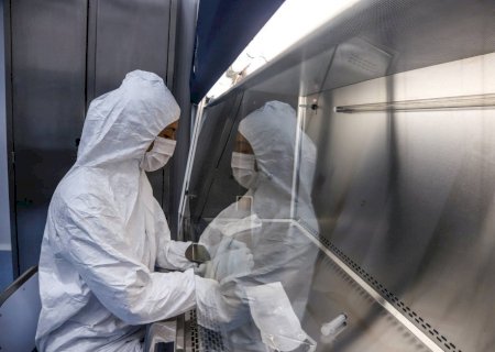 Terapia espanhola de células CAR-T para câncer no sangue pode vir para o Brasil