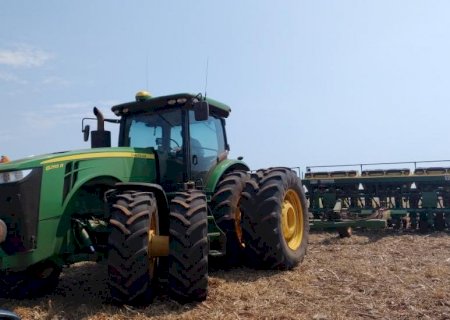 Plantio da safra de soja 2025/2026 alcança 3,9% da área acompanhada em MS