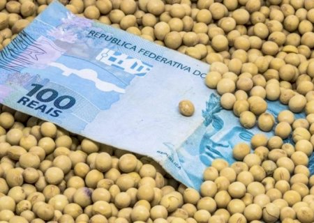 China promete impulsionar comércio agrícola com EUA | Brasilagro