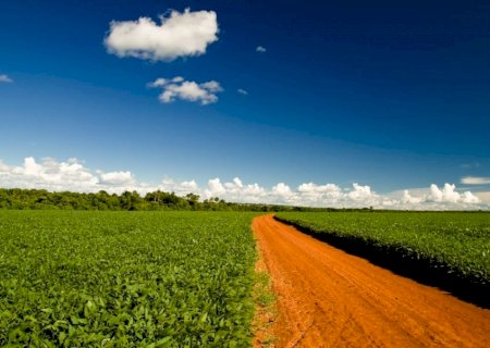 STF adia julgamento de ações sobre Moratória da Soja