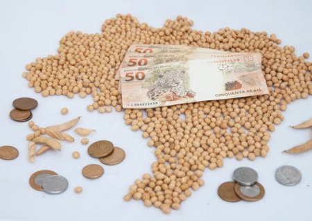 Confira como a alta do dólar impactou os preços da soja