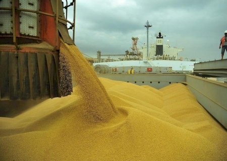 Soja: Brasil deve embarcar até 4,3 milhões de toneladas em novembro