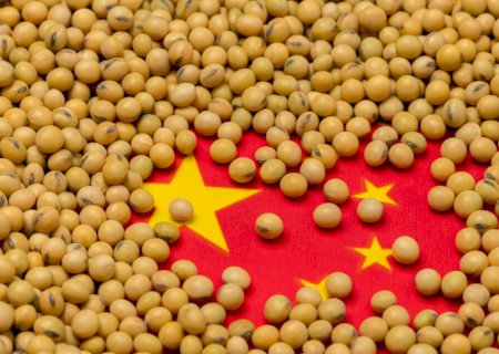 Exportadores dos EUA reportam vendas de 123 mil t de soja à China