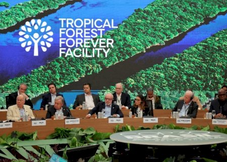 Lula lança em Belém fundo para proteger florestas tropicais