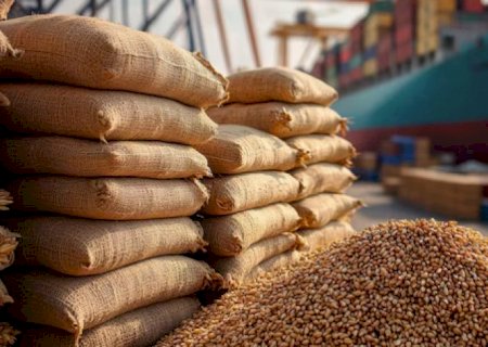 China: Importação recorde de soja com compras do Brasil e trégua com EUA | Brasilagro