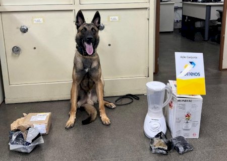 Polícia apreende 900 gramas de drogas que seriam enviadas pelos Correios