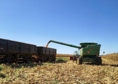 Valor Bruto da Produção cresce 26% em Mato Grosso do Sul
