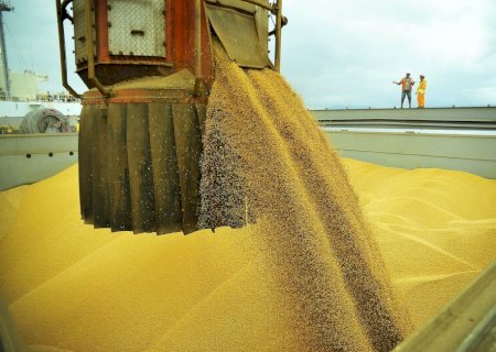 Anec eleva projeção de exportação de soja em dezembro para 3,33 mi de t