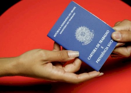 População ocupada bate recorde, com 103 milhões de pessoas