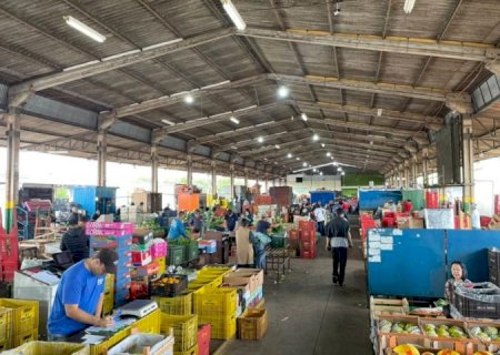 MS Nutri: Ceasa reforça articulação com a Semadesc em projeto que reduz desperdício de alimentos