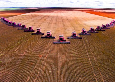 Produção de grãos e área plantada da safra 2025/26 mantém perspectiva de novos recordes
