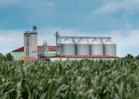 Investimento agrícola cresce 26% em Mato Grosso do Sul