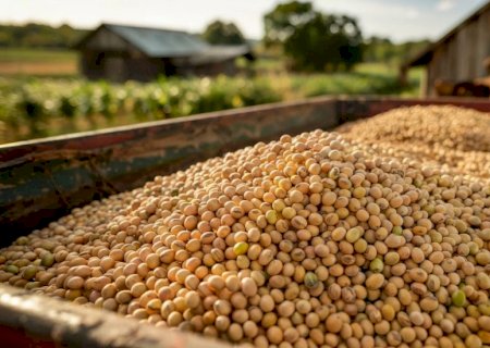 Perdas pós-colheita pressionam rentabilidade do agronegócio em safra recorde de grãos em 2026