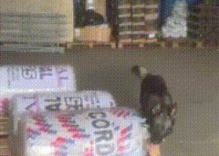 Polícia apreende 293 quilos de maconha em encomenda disfarçada de rolo de corda