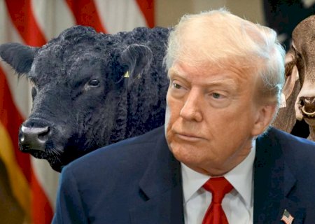 Trump amplia importações de carne bovina da Argentina e deixa Brasil em alerta