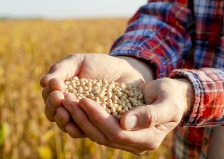 Nova lei reduz incentivos fiscais federais e pode elevar custos para produtores rurais a partir de 2026