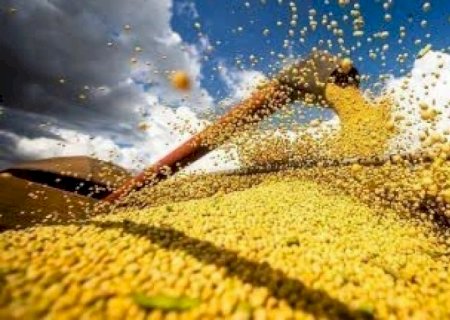 Com maior produtividade da soja, colheita de grãos deve alcançar novo recorde